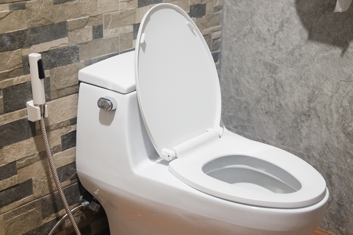 12 Different Types of Toilets and Their Characteristics